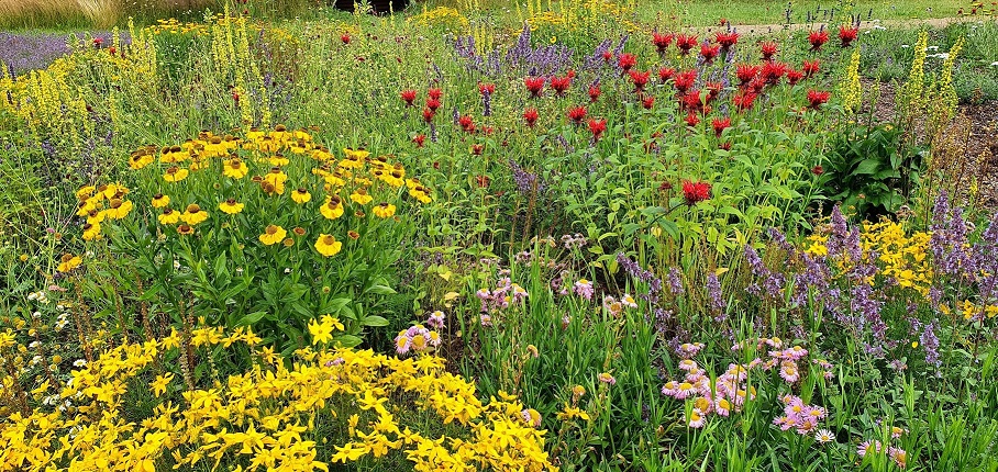 Pflanzen, Garten, Bewässerung, Whirlator, Wasserverwirbler, Wasser