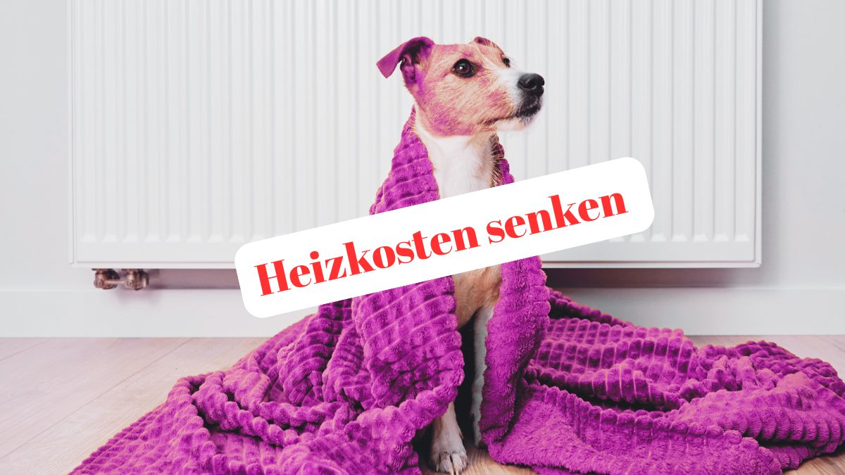 Hund sitzt eingekuschelt in einer Decke vor einem Heizkörper – Tipps zum Heizkosten senken von OWL Energy.