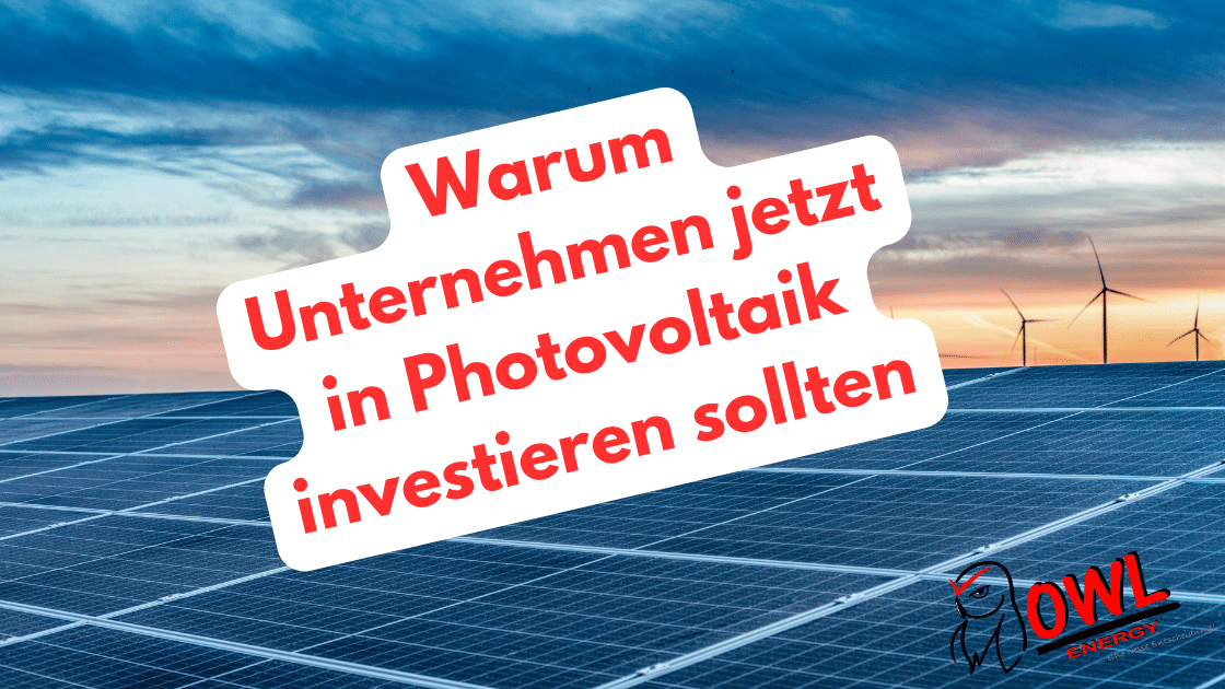 Solarmodule auf großen Dachflächen